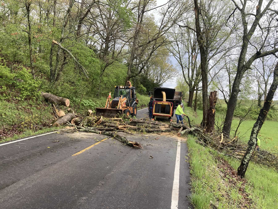 Greenbridge Tree down