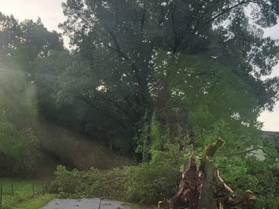 7/30 Storm